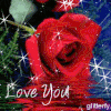 red rose love.gif