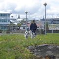 Á Höfðatúni