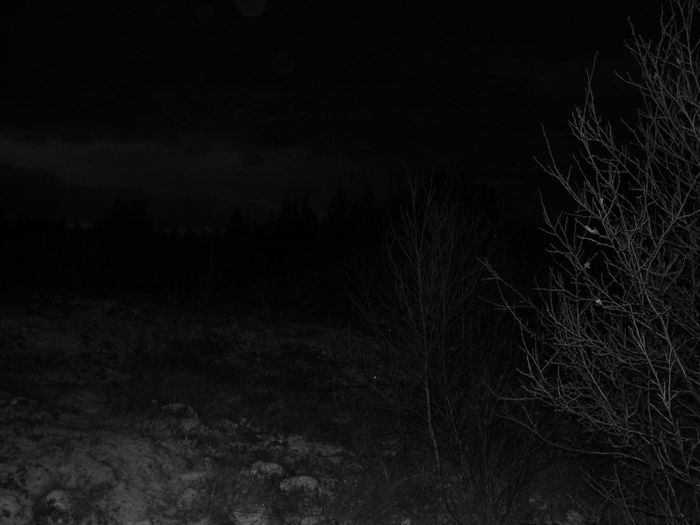 black sky with a nip of gray?
