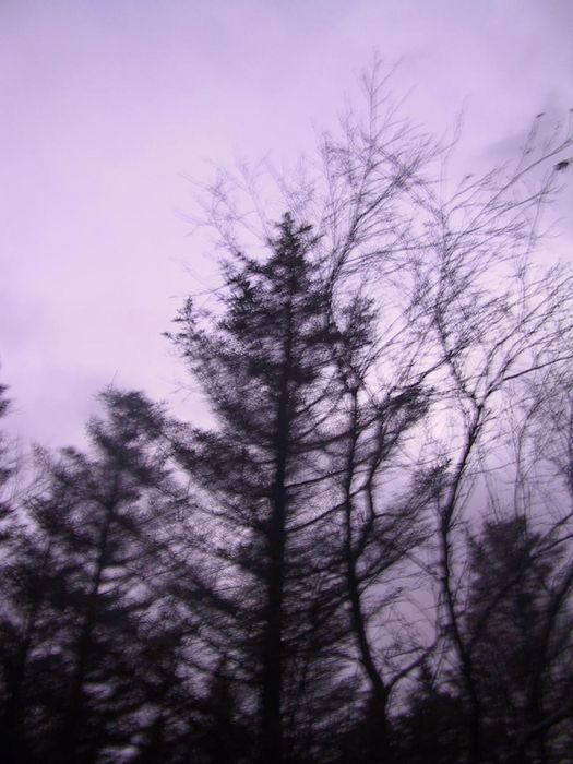 falling in faint