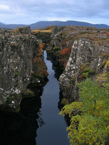 Flosagja