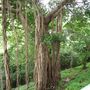 img 1691.jpg