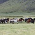 img 8840