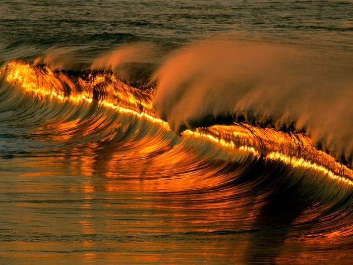 golden wave