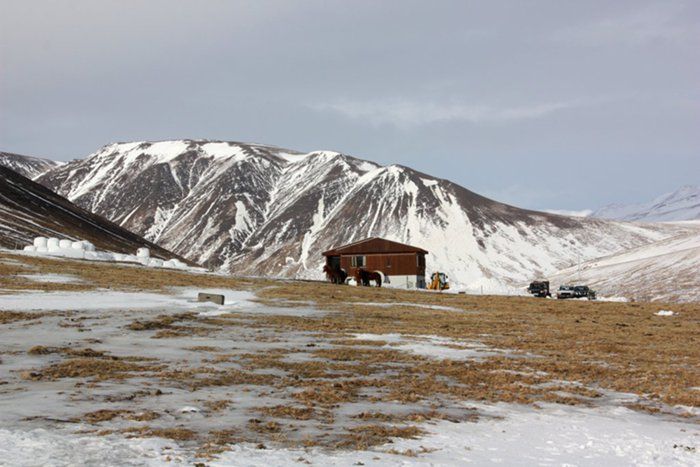 Graddarnir 7 mars 2015
