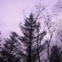 falling in faint