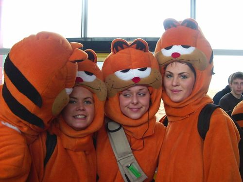 dimmision 2004