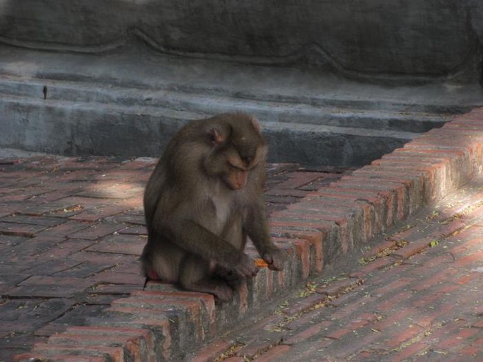 Phnom Penh 011