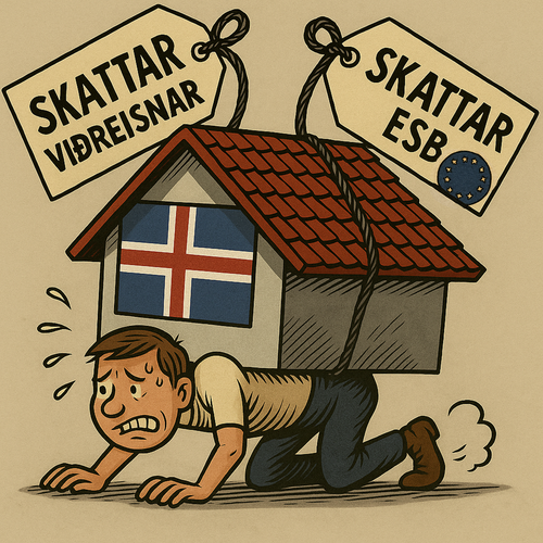 Vireisn_ESB_skattar_a copy