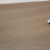 IMG 5043
