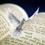 bible spirit dove