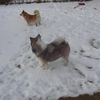 feb 2007 025.jpg