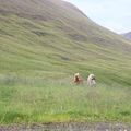 img 8534 1442414