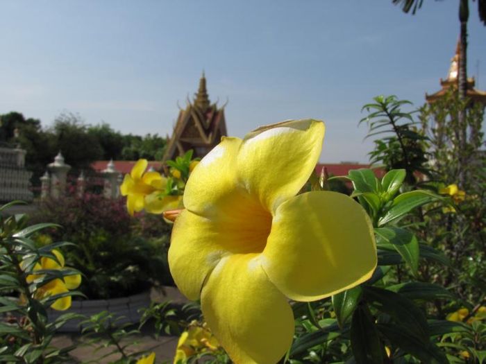 Phnom Penh 055