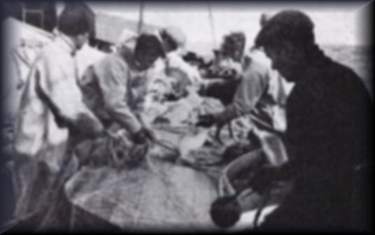 essi er sennilega tekinn 1960-611965