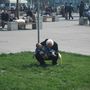 Algeng sjon i Kina