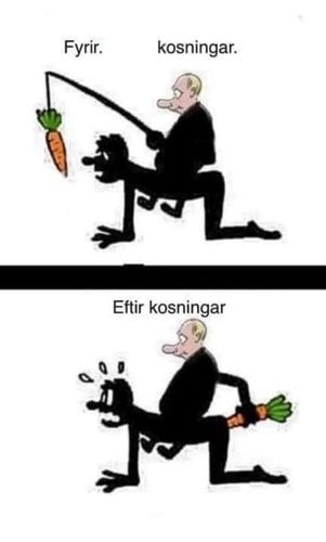 kosningaloforin