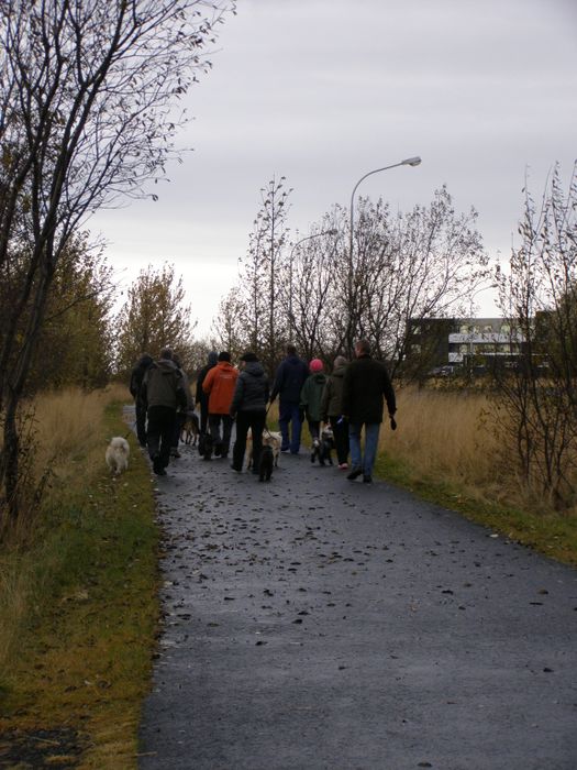 Selfoss 14 okt 2012 005