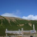 Aðhaldið
