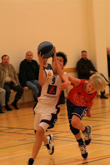 IMG 4751 (Large)