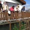 img 0691.jpg