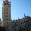 The Cathedral in Sevilla