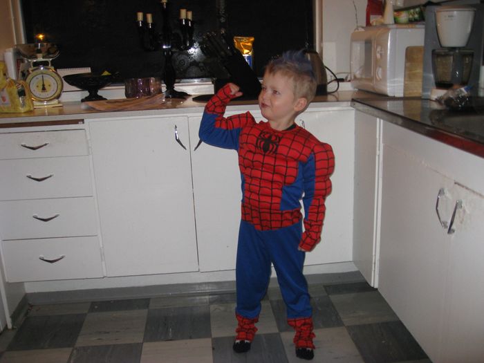 Spiderman klr  skudagsslaginn 2009
