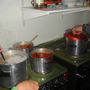Laugavegurinn 2008 002