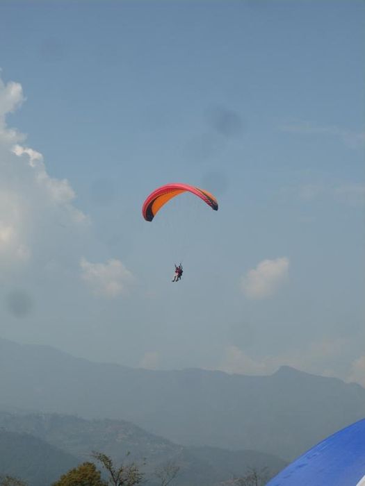 Paragliding Steffi 298