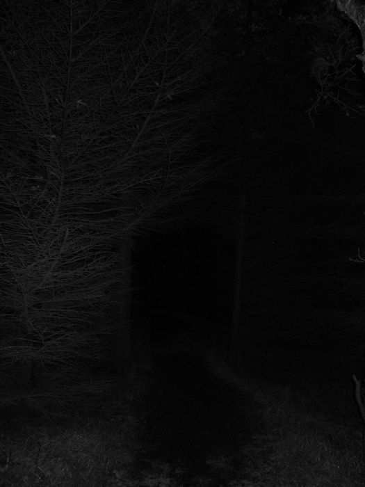 Among ghosts
