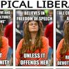 typical liberal 2