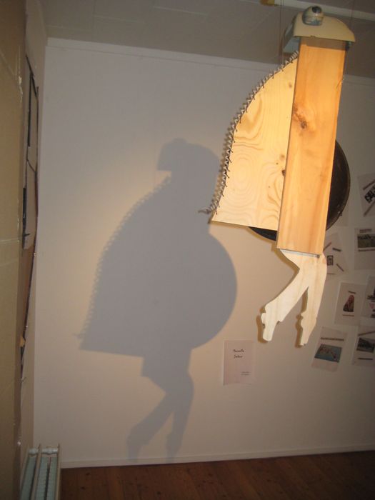 IMG 1513