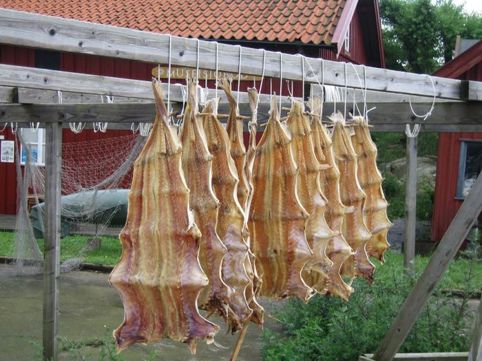 Fiskur urrkaur