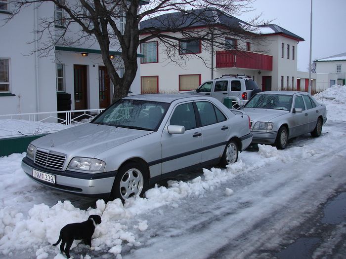 Benz  W 202  C 250 001