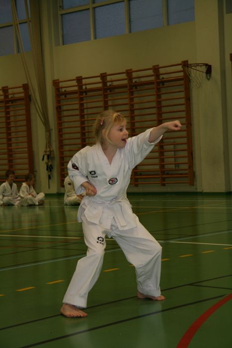 TaiKwonDo gula belti 162