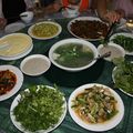 2008 07 04 0040