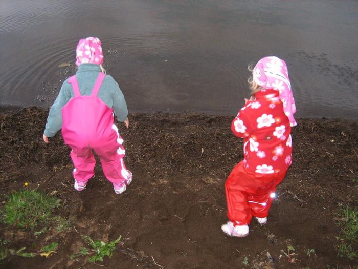 img 1240.jpg