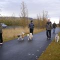 Selfoss 14 okt 2012 003