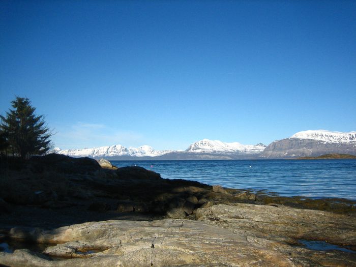 Vogsfjorden