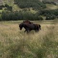 img 0929
