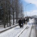 IMG 7488