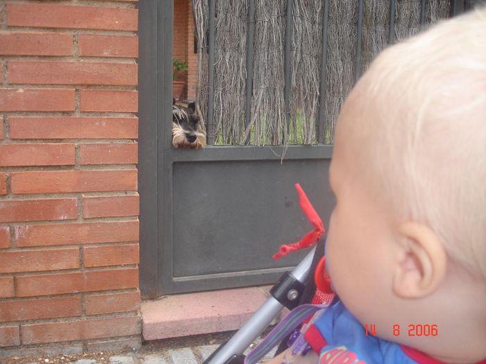 Sigurur a horfa  hund ... hmm ok