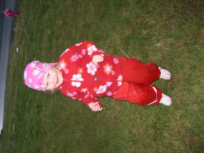 img 1251.jpg
