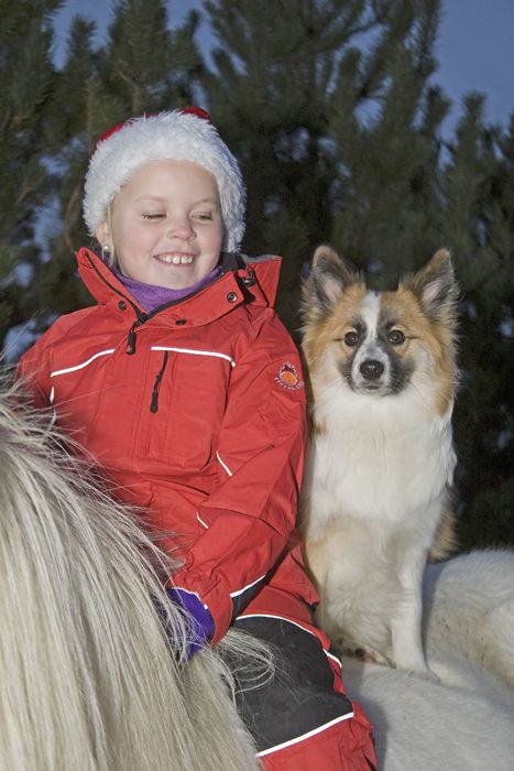 Kuldi, Maranna Sl og Ugla