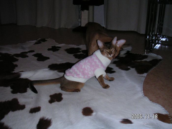 He loves his Ludmilla!!