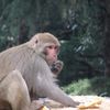 India 005