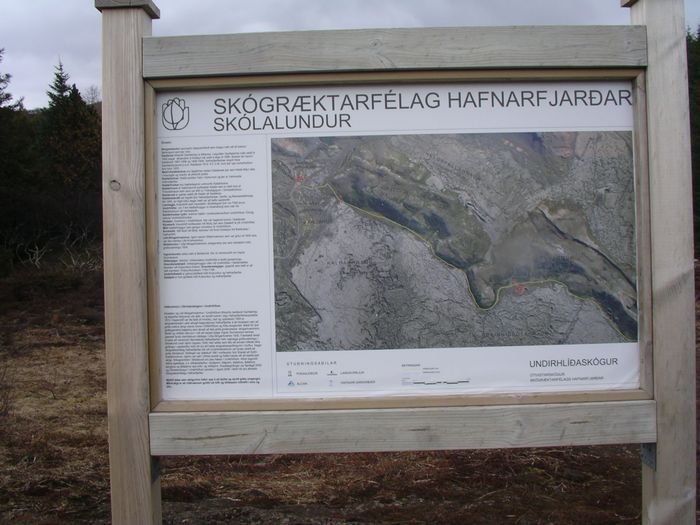 IMGP1997