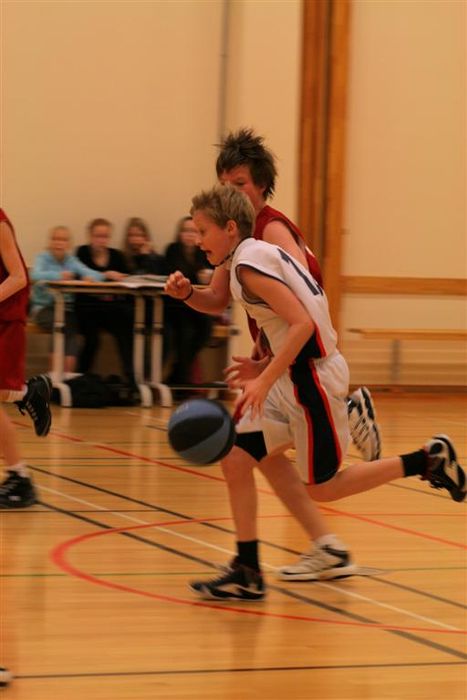 IMG 4727 (Large)
