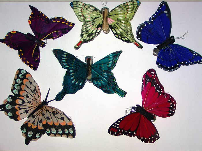 comparison butterfly vz57plus colorprecision