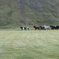 img 8882